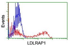 LDLRAP1 Mouse anti-Human, Clone: OTI4B10, lyophilized, TrueMAB 100 &mu;g;