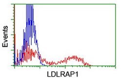 LDLRAP1 Mouse anti-Human, Clone: OTI5A12, lyophilized, TrueMAB 100 &mu;g;