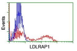LDLRAP1 Monoclonal Antibody (OTI5A12), TrueMAB , OriGene 100 &mu;L; Unconjugated:Antibodies,