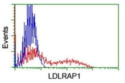 LDLRAP1 Monoclonal Antibody (OTI7H10), TrueMAB , OriGene 30 &mu;L; Unconjugated:Antibodies,