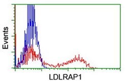 LDLRAP1 Mouse anti-Human, Clone: OTI7E11, liquid, TrueMAB 100 &mu;L; Unconjugated:Antibodies,