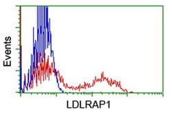LDLRAP1 Monoclonal Antibody (OTI4G5), TrueMAB , OriGene 100 &mu;L; Unconjugated:Antibodies,