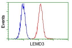 LEMD3 Mouse anti-Canine, Human, Rat, Clone: OTI3H1, lyophilized, TrueMAB