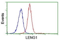 LENG1 Monoclonal Antibody (OTI1G5), TrueMAB , OriGene 100 μL; Unconjugated:Antibodies,
