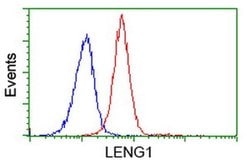 LENG1 Monoclonal Antibody (OTI1G5), TrueMAB , OriGene 100 &mu;L; Unconjugated:Antibodies,