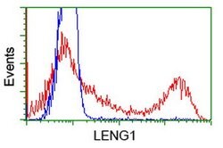 LENG1 Mouse anti-Human, Clone: OTI1G10, lyophilized, TrueMAB 100 &mu;g;