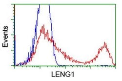 LENG1 Monoclonal Antibody (OTI1E6), TrueMAB , OriGene 100 &mu;L; Unconjugated:Antibodies,