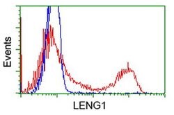 LENG1 Monoclonal Antibody (OTI1D4), TrueMAB , OriGene 30 &mu;L; Unconjugated:Antibodies,