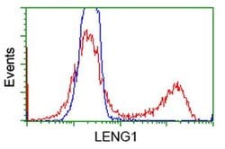 LENG1 Monoclonal Antibody (OTI1E8), TrueMAB , OriGene 30 &mu;L; Unconjugated:Antibodies,