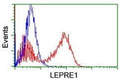 LEPRE1 Monoclonal Antibody (OTI1A2), TrueMAB , OriGene:Antibodies:Primary