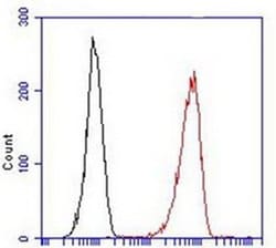 LGR5 Mouse anti-Human, Mouse, PE, Clone: OTI2A2, liquid, TrueMAB 100 &mu;L;