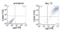 LGR5 Mouse anti-Human, Mouse, PE, Clone: OTI2A2, liquid, TrueMAB 100 &mu;L;