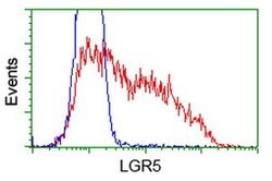 LGR5 Monoclonal Antibody (OTI1C8), TrueMAB , OriGene 100 &mu;L; Unconjugated:Antibodies,