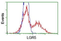 LGR5 Monoclonal Antibody (OTI14E1), TrueMAB , OriGene 100 &mu;L; Unconjugated:Antibodies,