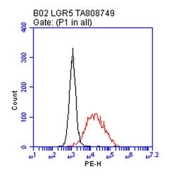 LGR5 Monoclonal Antibody (OTI3F2), TrueMAB , OriGene 100 &mu;L; Unconjugated:Antibodies,