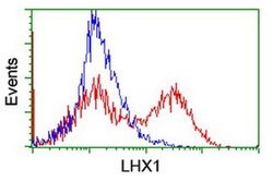 LHX1 Monoclonal Antibody (OTI2B4), TrueMAB , OriGene 100 &mu;L; Unconjugated:Antibodies,