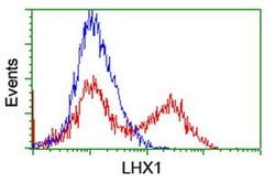LHX1 Monoclonal Antibody (OTI3A9), TrueMAB , OriGene 30 &mu;L; Unconjugated:Antibodies,