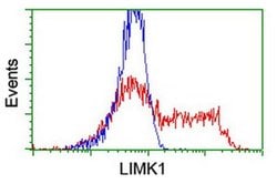 LIMK1 Monoclonal Antibody (OTI8C8), TrueMAB , OriGene 100 &mu;L; Unconjugated:Antibodies,