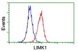 LIMK1 Monoclonal Antibody (OTI8C8), TrueMAB , OriGene 100 &mu;L; Unconjugated:Antibodies,