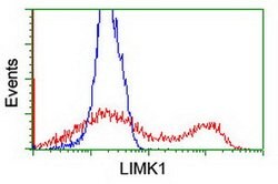 LIMK1 Mouse anti-Human, Clone: OTI 7C3, lyophilized, TrueMAB 100 &mu;g;
