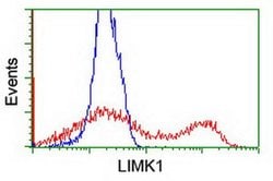 LIMK1 Monoclonal Antibody (OTI 7C3), TrueMAB , OriGene 100 &mu;L; Unconjugated:Antibodies,