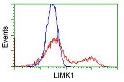 LIMK1 Monoclonal Antibody (OTI2A11), TrueMAB , OriGene:Antibodies:Primary