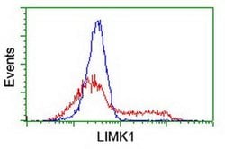 LIMK1 Monoclonal Antibody (OTI1F1), TrueMAB , OriGene 100 &mu;L; Unconjugated:Antibodies,