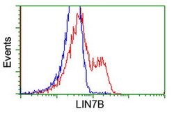 LIN7B Monoclonal Antibody (OTI1G1), TrueMAB , OriGene 100 &mu;L; Unconjugated:Antibodies,