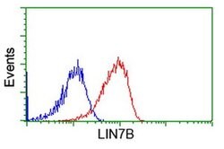 LIN7B Monoclonal Antibody (OTI1G1), TrueMAB , OriGene 100 &mu;L; Unconjugated:Antibodies,