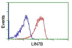 LIN7B Monoclonal Antibody (OTI1G1), TrueMAB , OriGene:Antibodies:Primary