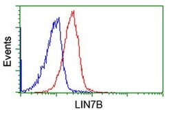LIN7B Mouse anti-Human, Clone: OTI1D12, liquid, TrueMAB 100 &mu;L; Unconjugated:Antibodies,