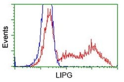 LIPG Monoclonal Antibody (OTI2D5), TrueMAB , OriGene 100 &mu;L; Unconjugated:Antibodies,