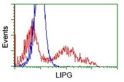 LIPG Mouse anti-Human, Clone: OTI5C3, lyophilized, TrueMAB 100 &mu;g; Unconjugated:Antibodies,