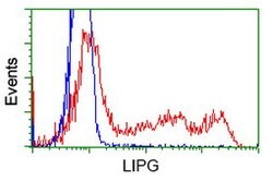 LIPG Mouse anti-Human, Clone: OTI1D9, lyophilized, TrueMAB 100 &mu;g; Unconjugated:Antibodies,