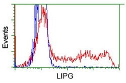 LIPG Monoclonal Antibody (OTI3C7), TrueMAB , OriGene 100 &mu;L; Unconjugated:Antibodies,