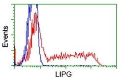 LIPG Monoclonal Antibody (OTI7C2), TrueMAB , OriGene 30 &mu;L; Unconjugated:Antibodies,
