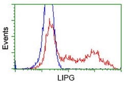 LIPG Monoclonal Antibody (OTI6B11), TrueMAB , OriGene 100 &mu;L; Unconjugated:Anticuerpos