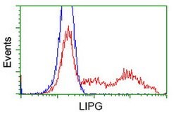 LIPG Mouse anti-Human, Clone: OTI4D2, lyophilized, TrueMAB 100 &mu;g; Unconjugated:Antibodies,