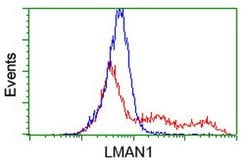 LMAN1 Monoclonal Antibody (OTI1E3), TrueMAB , OriGene 100 &mu;L; Unconjugated:Antibodies,