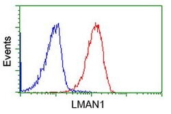 LMAN1 Monoclonal Antibody (OTI1E3), TrueMAB , OriGene 100 &mu;L; Unconjugated:Antibodies,