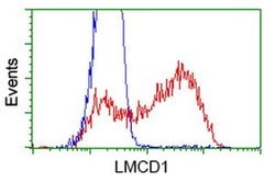 LMCD1 Monoclonal Antibody (OTI2F12), TrueMAB , OriGene 30 &mu;L; Unconjugated:Antibodies,