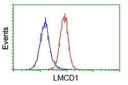 LMCD1 Monoclonal Antibody (OTI2F12), TrueMAB , OriGene 30 &mu;L; Unconjugated:Antibodies,