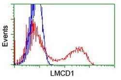 LMCD1 Mouse anti-Human, Clone: OTI1H5, liquid, TrueMAB 100 &mu;L; Unconjugated:Antibodies,