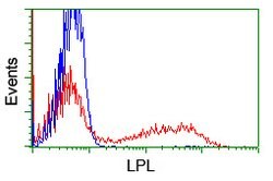 LPL Monoclonal Antibody (OTI3A10), TrueMAB , OriGene 100 &mu;L; Unconjugated:Antibodies,