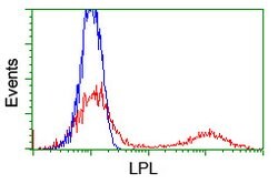 LPL Mouse anti-Human, Clone: OTI4G2, lyophilized, TrueMAB 100 &mu;g; Unconjugated:Antibodies,