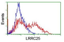 LRRC25 Mouse anti-Human, Clone: OTI1B3, lyophilized, TrueMAB 100 &mu;g;
