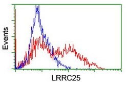 LRRC25 Monoclonal Antibody (OTI1B3), TrueMAB , OriGene:Antibodies:Primary