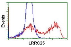 LRRC25 Mouse anti-Human, Clone: OTI1D9, liquid, TrueMAB 100 &mu;L; Unconjugated:Antibodies,