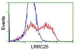 LRRC25 Monoclonal Antibody (OTI1C5), TrueMAB , OriGene 30 &mu;L; Unconjugated:Antibodies,