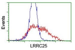 LRRC25 Monoclonal Antibody (OTI2A3), TrueMAB , OriGene 30 &mu;L; Unconjugated:Antibodies,
